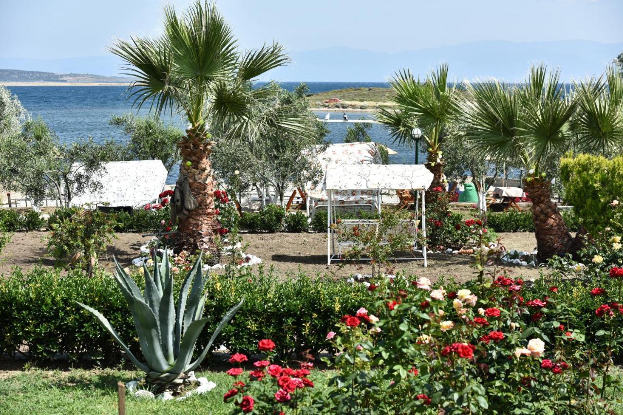 Cunda Asiyan Otel Аявали Екстериор снимка